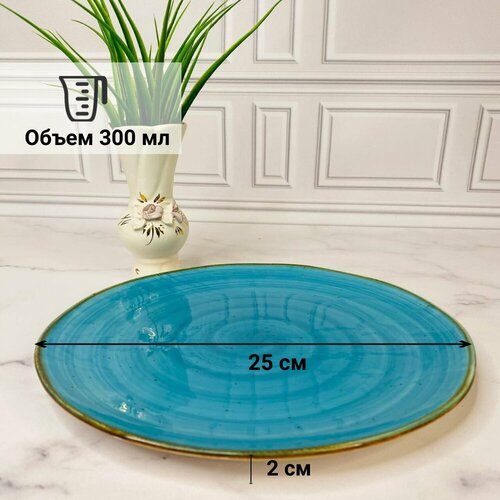 Блюдотарелка Сенатр объем 300 мл диаметр 25 см 719₽