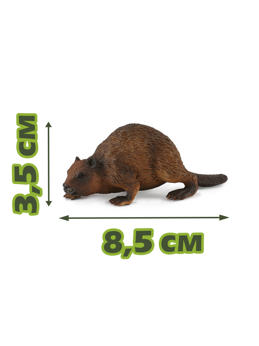 Фигурка Collecta, Бобер (M) - фото №3