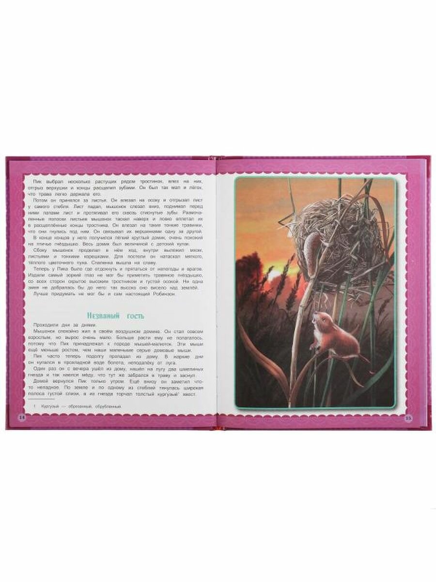 Мышонок Пик. Виталий Бианки. Любимые книжки. 197х255мм, 32стр., тв.переплет, офсет. Умка в кор15шт - фото №10