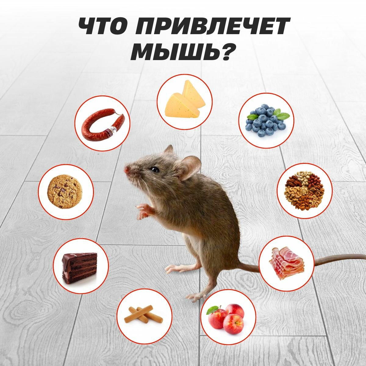 Отпугиватели И Ловушки Для Птиц И Грызунов Пластиковая мышеловка SuperCat, 15 шт.