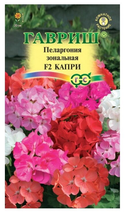 Пеларгония "Гавриш" Капри 4шт