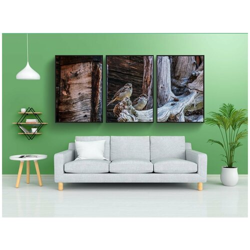 фото Набор модулных постеров для интерьера "воробьи, сперлинг, сидеть" 60x90 см. в тубусе, без рамки lotsprints