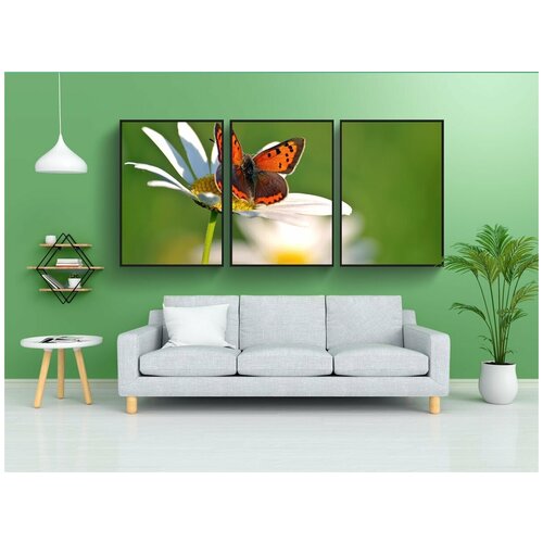 фото Набор модулных постеров для интерьера "маленькая огненная бабочка, lycaena phlaeas, бабочки" 60x90 см. в тубусе, без рамки lotsprints