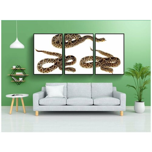 фото Набор модулных постеров для интерьера "змея, террариум, гады" 60x90 см. в тубусе, без рамки lotsprints