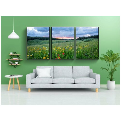 фото Набор модулных постеров для интерьера "сельская местность, поле, флора" 60x90 см. в тубусе, без рамки lotsprints