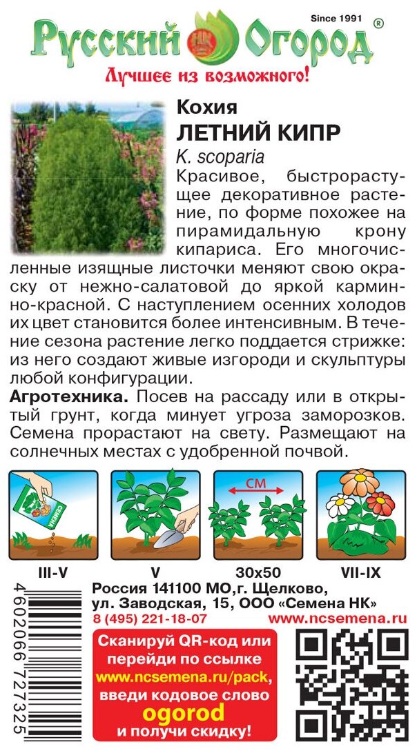 Кохия Летний Кипр Русский огород - фото №2