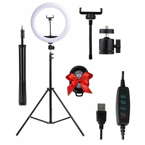 Кольцевая светодиодная лампа LED 26 см со штативом 210 см и держателем для телефона кольцевая профессиональная лампа 109900₽
