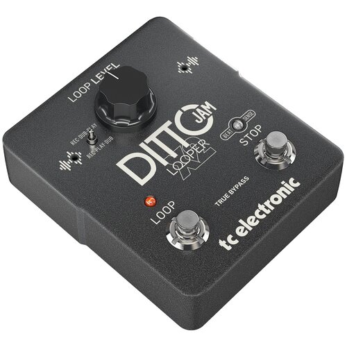 TC Electronic Ditto JAM X2 Looper интуитивный лупер с технологией BeatSense