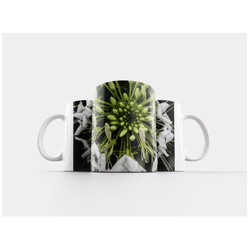 фото Кружка "семена, цветок, цветочная пыльца" 320 мл lotsprints