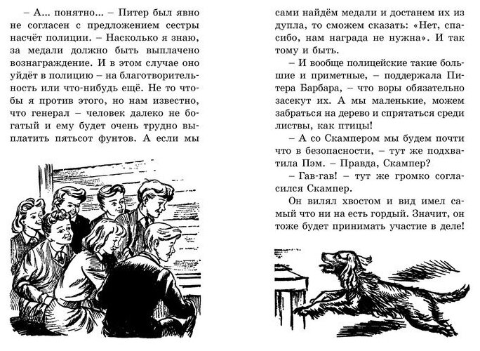 Дело о пропавших медалях (Шеррокс Барджесс (иллюстратор), Солнцева Ольга М. (переводчик), Блайтон Энид Мэри) - фото №9