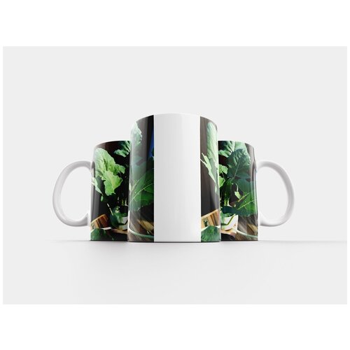 фото Кружка "кольраби, растения, овощи" 320 мл lotsprints