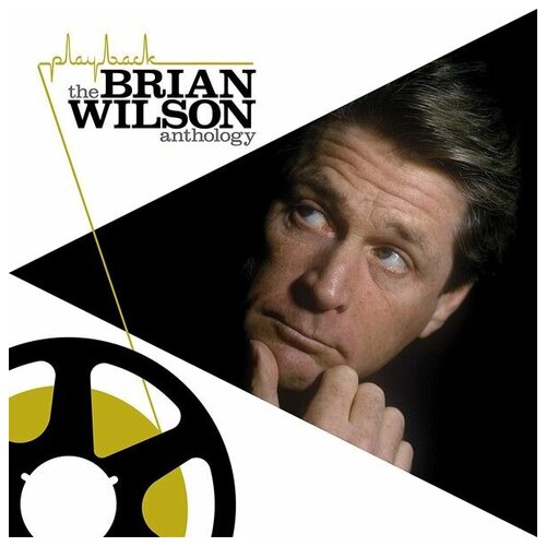 Warner Bros. Brian Wilson - The Brian Wilson Anthology (2 виниловые пластинки) виниловые пластинки legacy wilson dennis hawkins taylor may brian taylor roger holy man 7 single