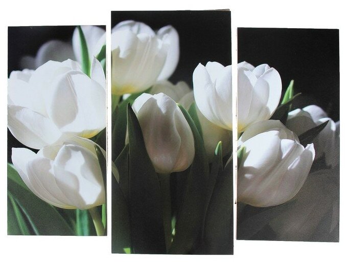 Модульная картина "Белые тюльпаны" (2-25х52; 1-30х60) 60х80 см 3981600
