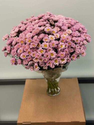 Изображение товара Букет wowflo "Сантини", хризантемы, 60см, 15 шт, розовый, под ленту, пленка, упаковка