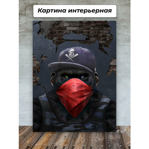 Картины для интерьера 50х70 Обезьяна бейсболка платок репер