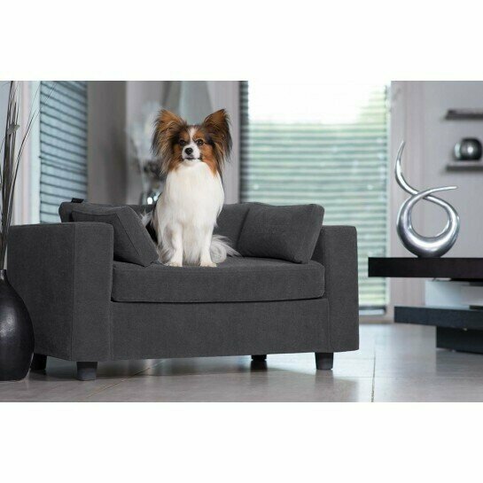 диван лежанка FUNTIKSTORE "Белла", M, 78х42х52 см., серый, велюр, для маленьких и средних пород собак - фотография № 4