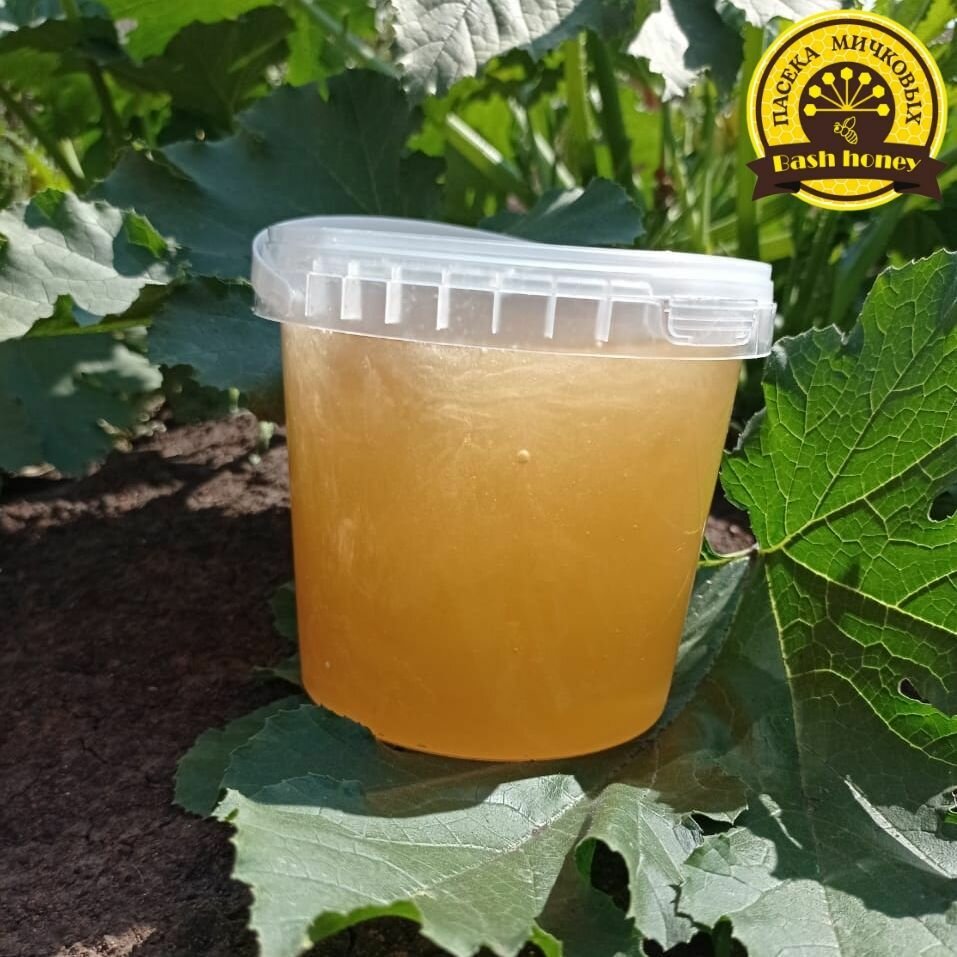 мед башкирский липовый вкусный натуральный лечебный кондитерский без сахара фасованный для вас - фотография № 6