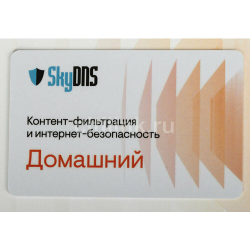 Интернет-фильтр SkyDNS тариф Домашний [цб-00003554]