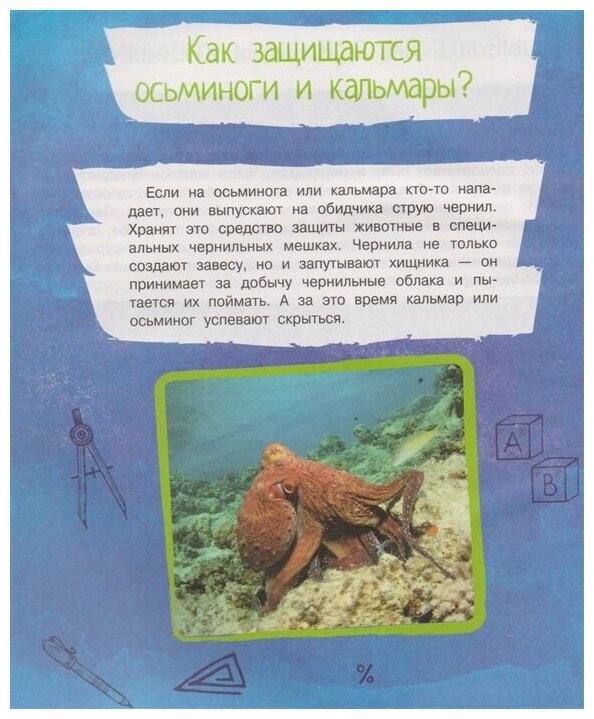 Почему так, а не иначе. Военное дело, растения, космос, животные. - фото №3