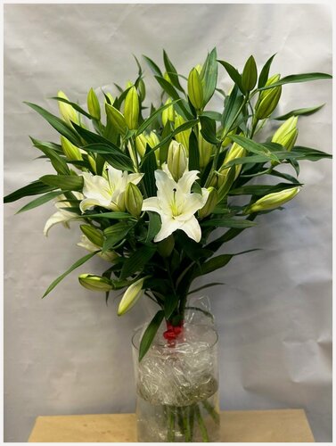 Изображение товара Монобукет wowflo "Лилия", 15 лилий, 95см, на стеблях, упаковка