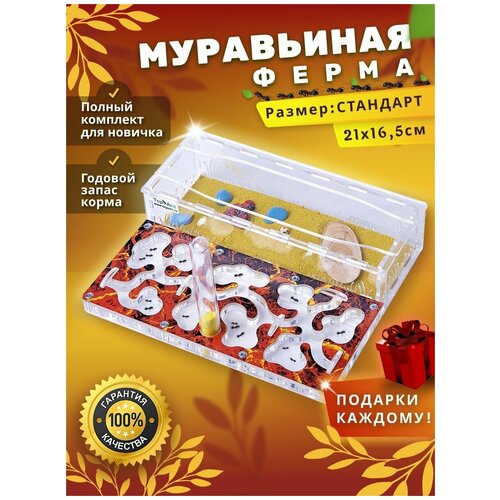 Стандартная муравьиная ферма максимальный комплект