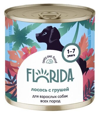 FLORIDA консервы Консервы для собак Лосось с грушей 22ел16 0,24 кг 56419 (9 шт)