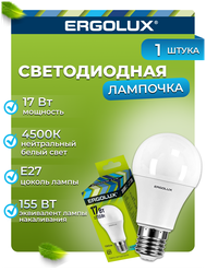 Светодиодная лампочка Ergolux LED-A60-17W-E27-4K
