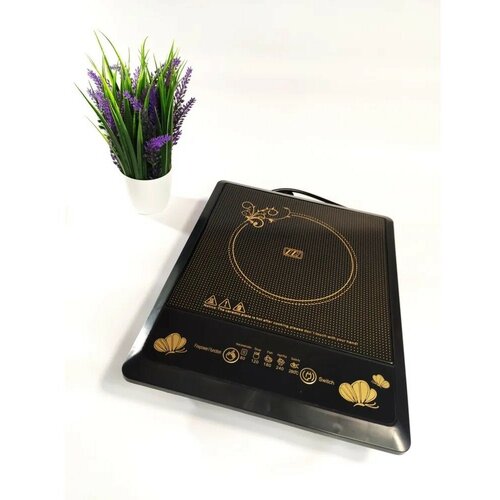 Индукционная плитка A01 настольная 259000₽