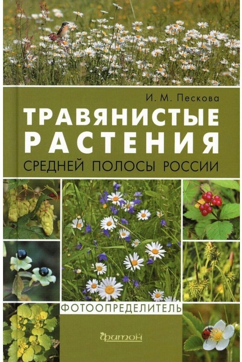 Травянистые растения средней полосы России. Фотоопределитель - фото №1