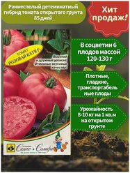 Семена томата "Катя Розовая" F1 10 шт в упаковке,профессиональные семена