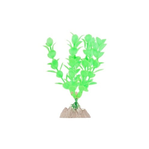 Растение флуоресцирующее GLOFISH зеленое S 13 см