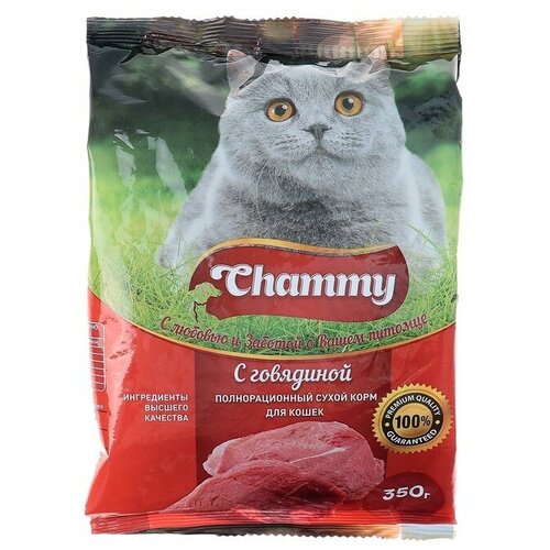 сухой корм для кошек chammy с рыбой 10 кг Сухой корм Chammy для кошек, говядина, 350 г