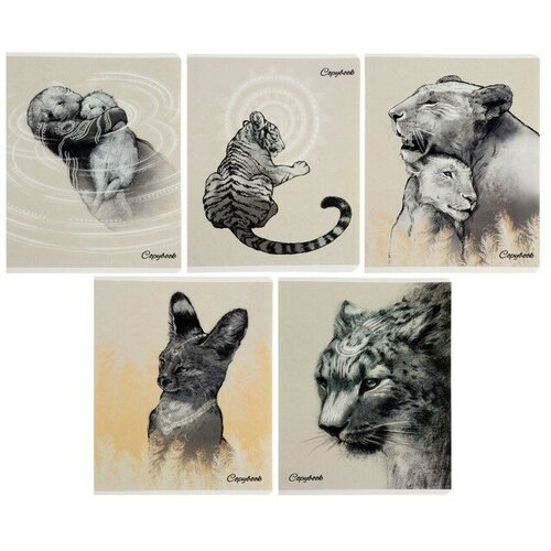 Alpha-Trend Тетрадь 48 листов в клетку 