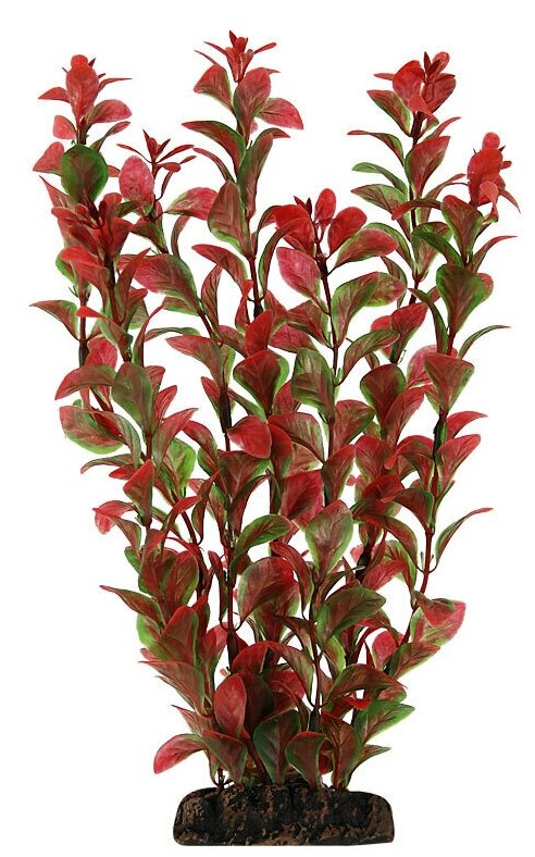 Растение "Людвигия" красная, 200мм, 1шт