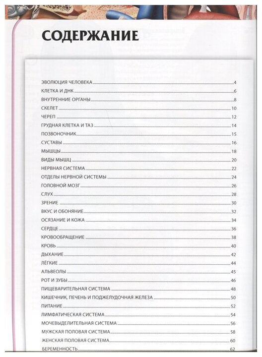 Анатомия человека. Детская иллюстрированная энциклопедия - фото №2