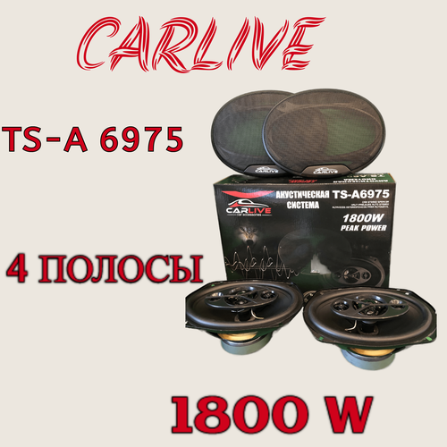Автомобильная акустика Carlive TS-A6975 6x9