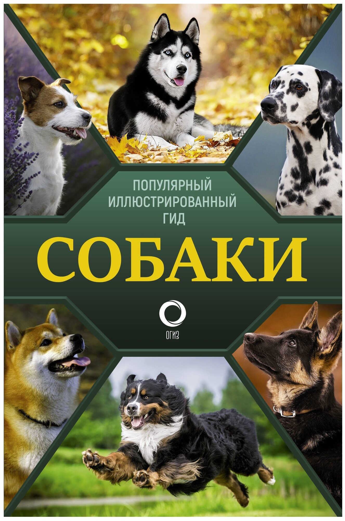 Собаки Популярный иллюстрированный гид Экциклопедия Барановская Ирина 12+