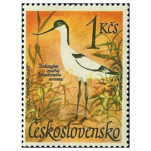 (1967-012) Марка Чехословакия Шилоклювка Водоплавающие птицы III Θ 1977 012 марка вьетнам волнистый калао птицы iii θ