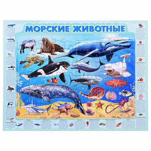 Пазл-рамка 60 Морские животные
