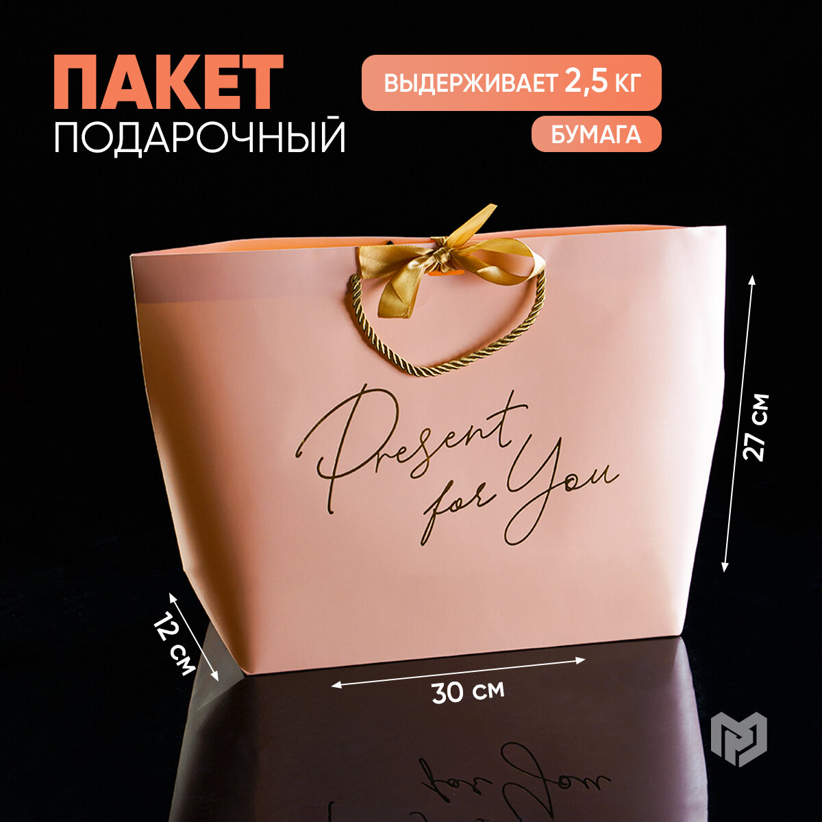 Пакет подарочный ламинированный с бантом «Present for you», 30 х 27 х 12 см