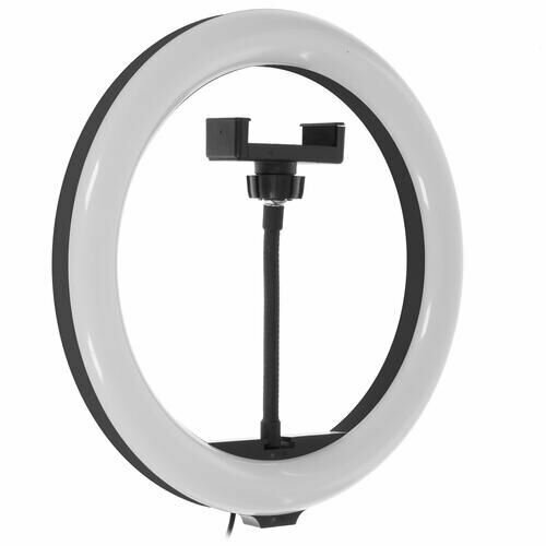 Кольцевая лампа Smartbuy SBL-TTL-10 239700₽