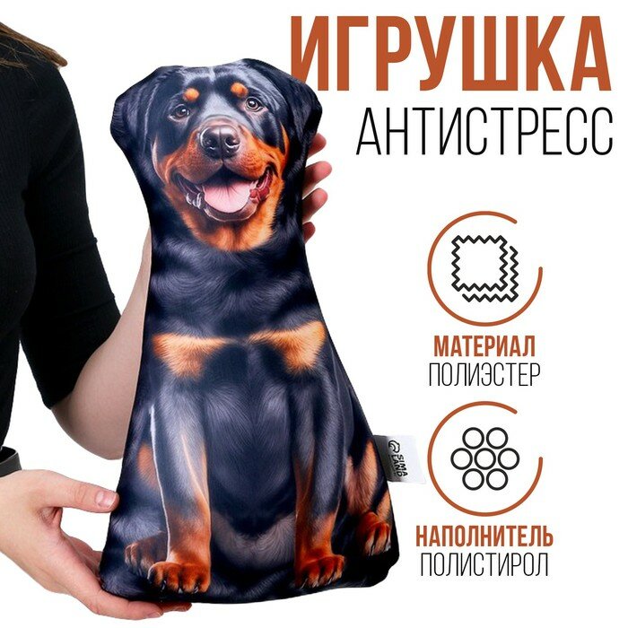 Алгебра. 9 класс. Новые дидактические материалы для углублённого изучения математики - фото №2