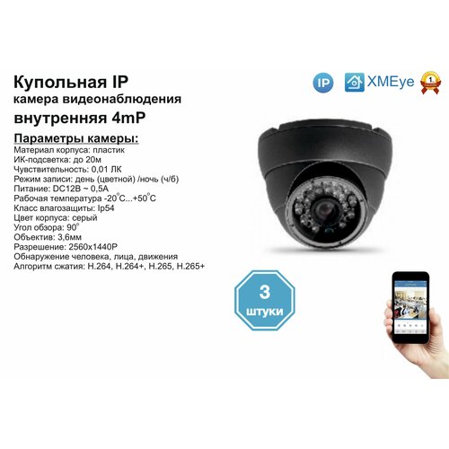 3шт DVS300IP4MP Внутренняя IP камера 4мП с ИК до 20м 676500₽
