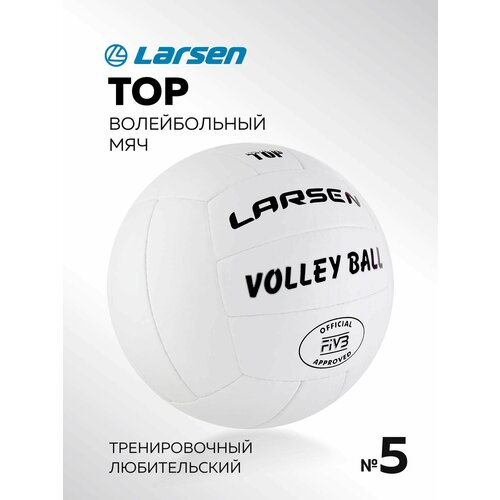 Волейбольный мяч Larsen Top белый