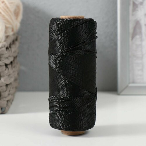 Нить полиамидная крученая 187х1х2 250 м 398₽