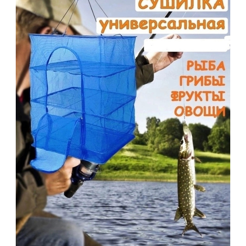 Сушилка для рыбы овощей фруктов зелени грибов 50x50x65 см 109900₽