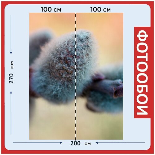 Фотообои Котенок весна серый 200x270 см флизелиновыена стену 2970₽