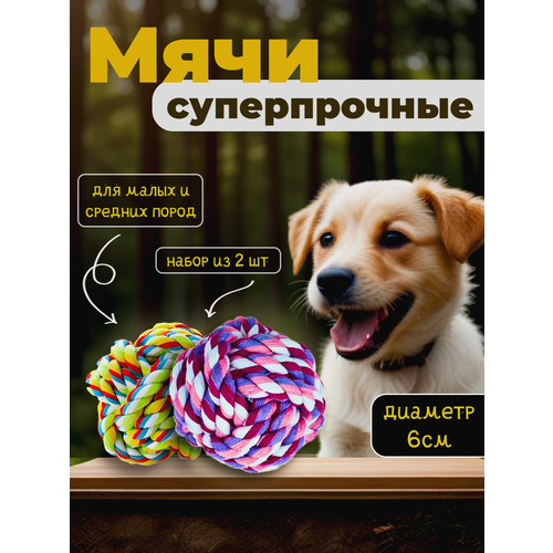 Игрушка для собак «Набор суперпрочных мячей» от бренда Honey Funny, диаметр 6 см, 2 шт, разноцветные, для мелких и средних пород