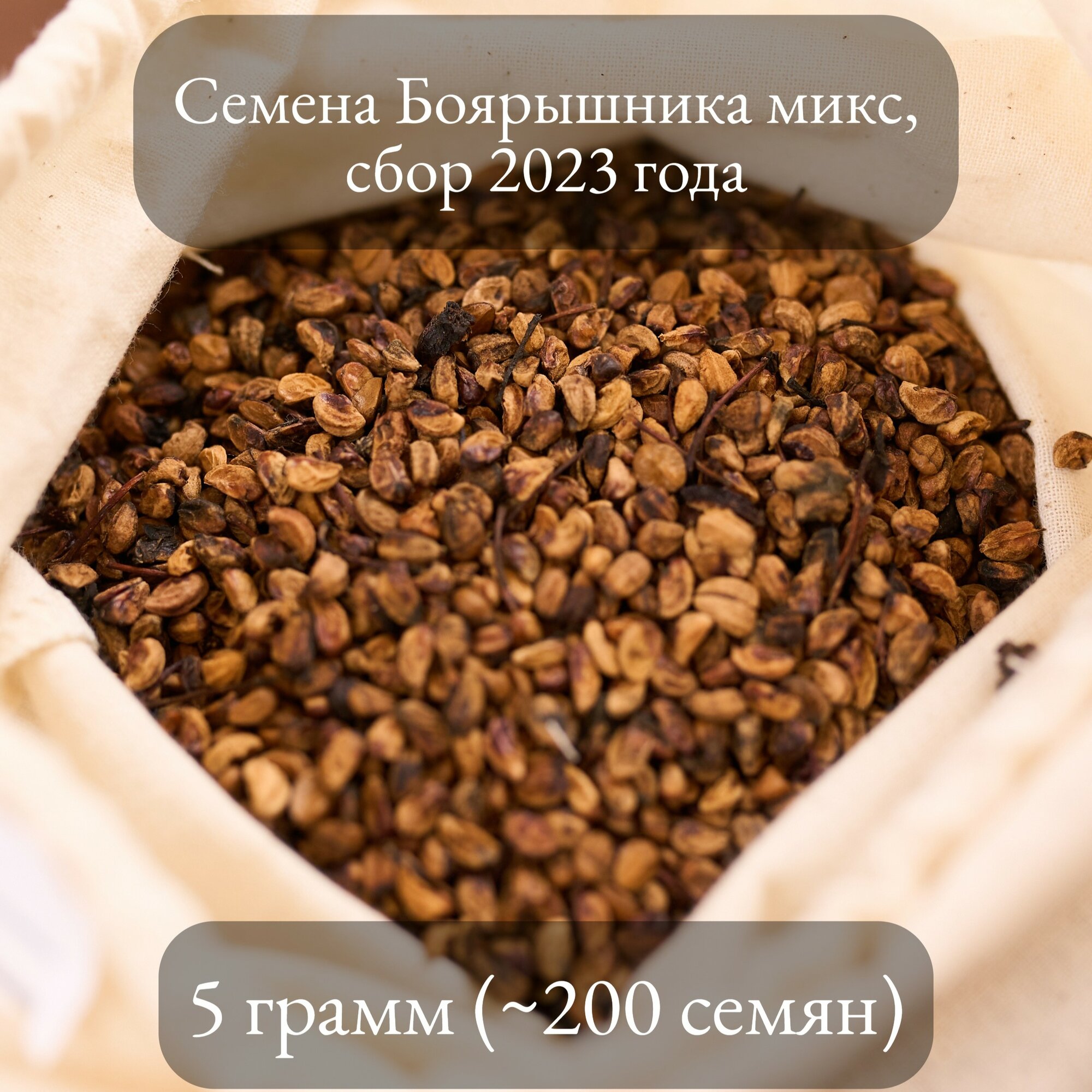 Семена Боярышника (микс сортов: Арнольда крупноплодный сибирский) 5 грамм (примерно 200 шт)
