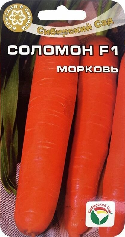Семена Морковь F1 Соломон